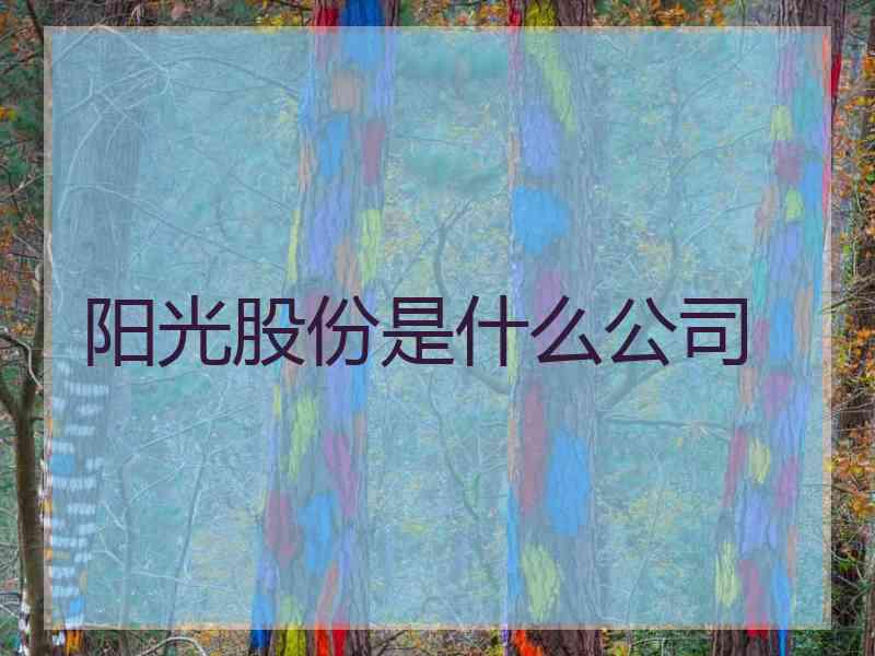阳光股份是什么公司