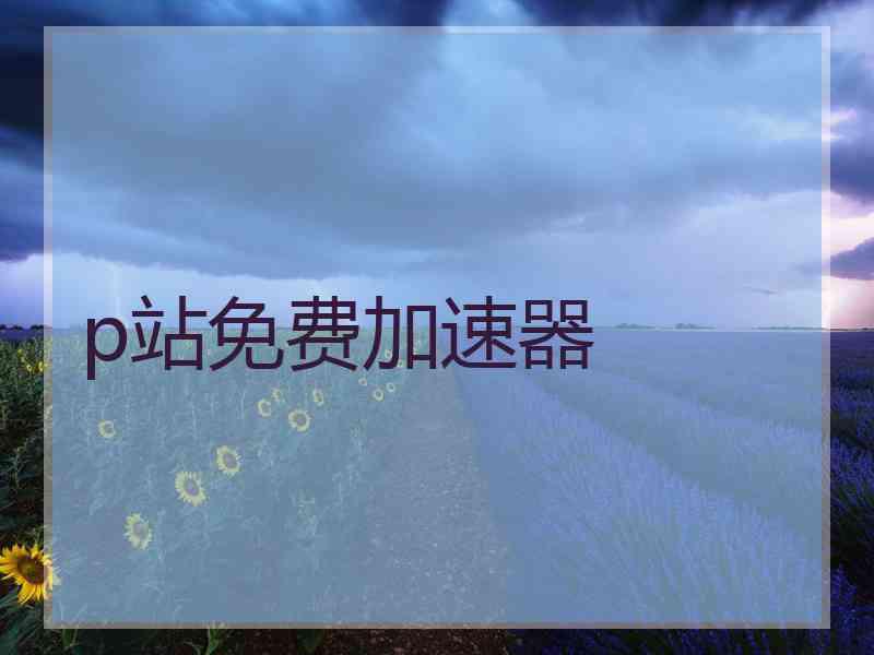 p站免费加速器