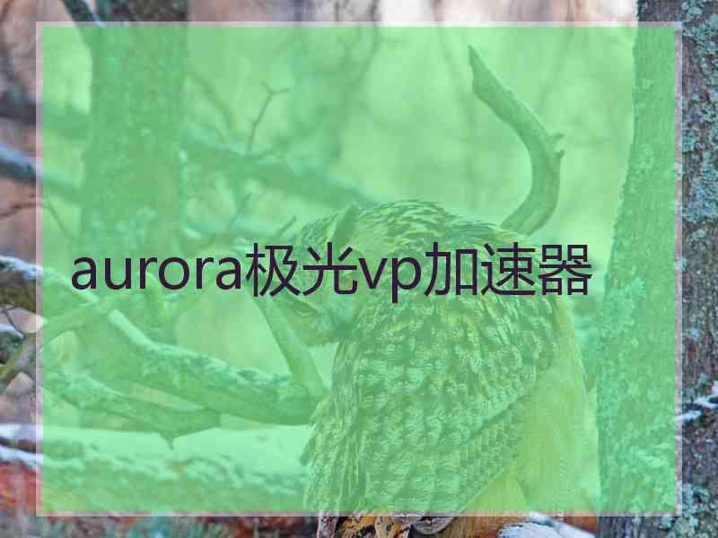 aurora极光vp加速器