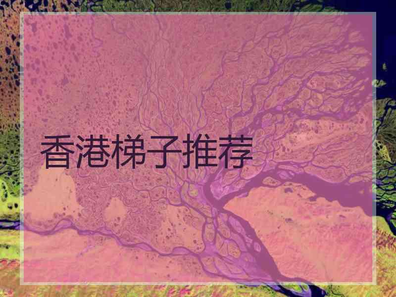 香港梯子推荐