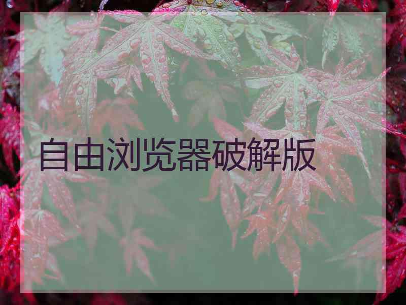 自由浏览器破解版