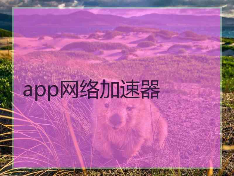 app网络加速器