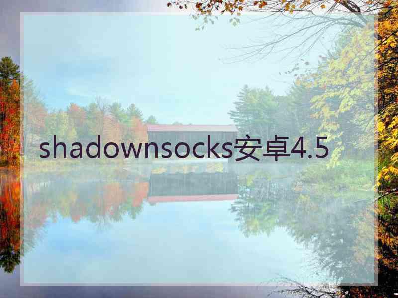 shadownsocks安卓4.5