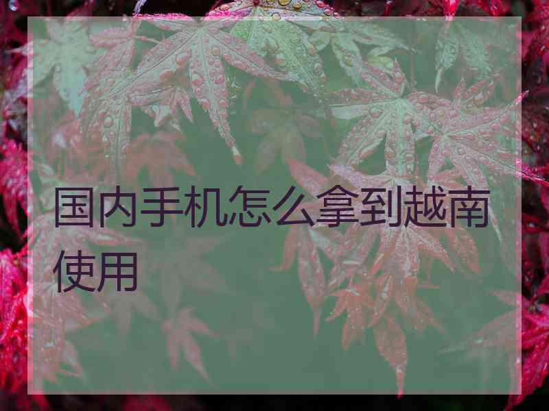 国内手机怎么拿到越南使用