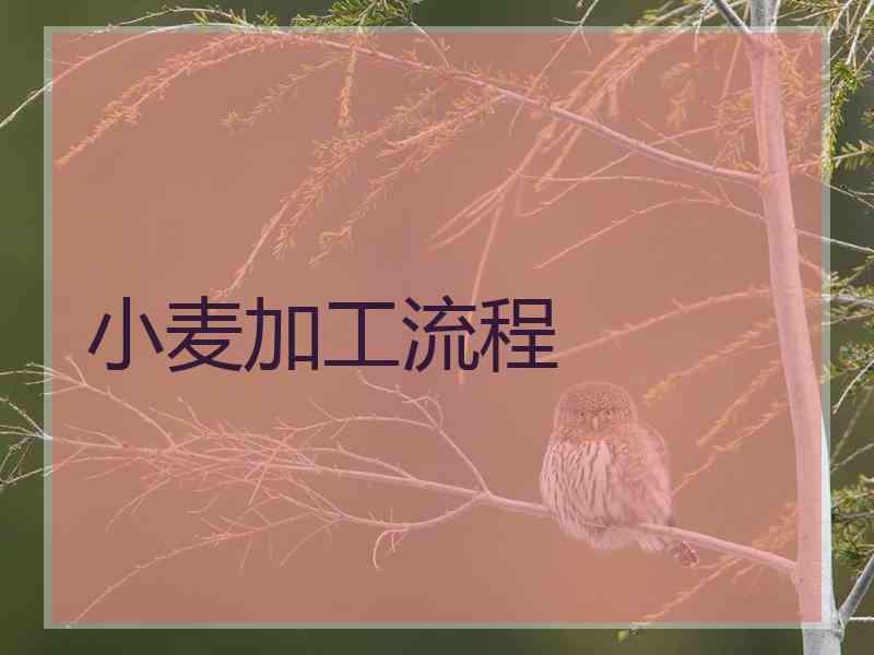 小麦加工流程