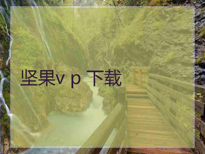 坚果v p 下载