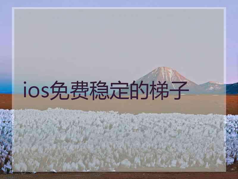 ios免费稳定的梯子