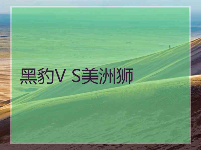 黑豹V S美洲狮