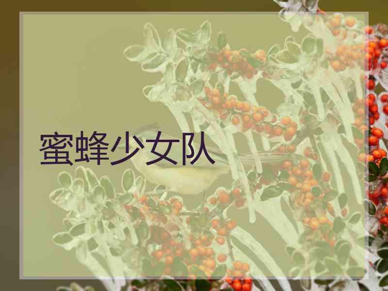 蜜蜂少女队