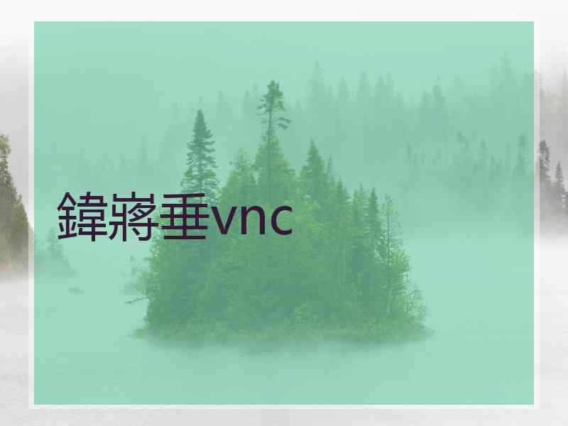 鍏嶈垂vnc
