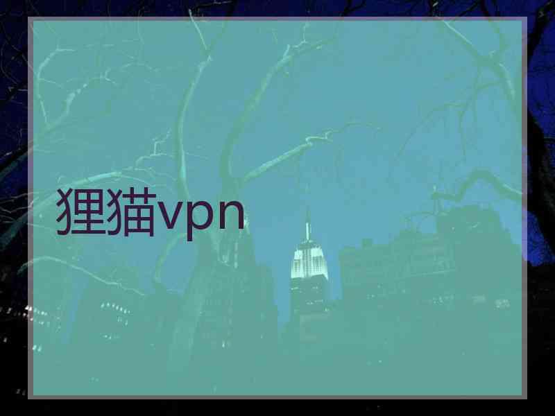 狸猫vpn