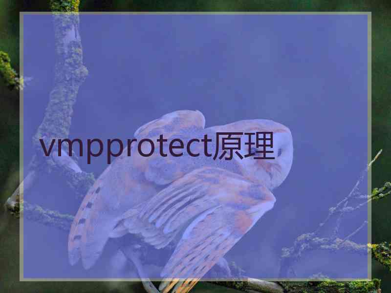 vmpprotect原理