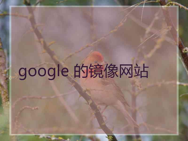 google 的镜像网站