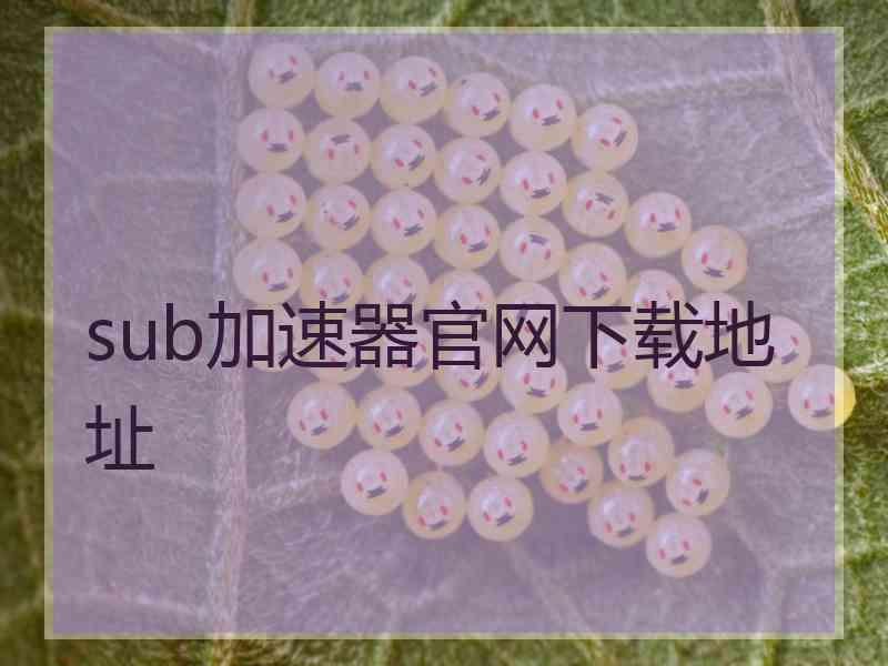 sub加速器官网下载地址