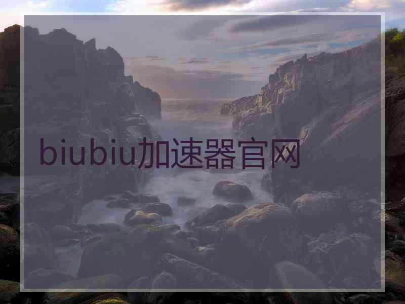 biubiu加速器官网