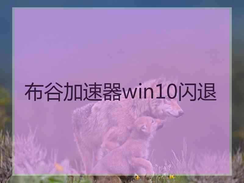 布谷加速器win10闪退