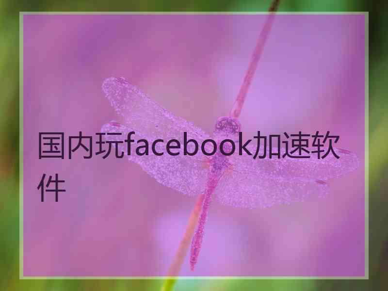 国内玩facebook加速软件