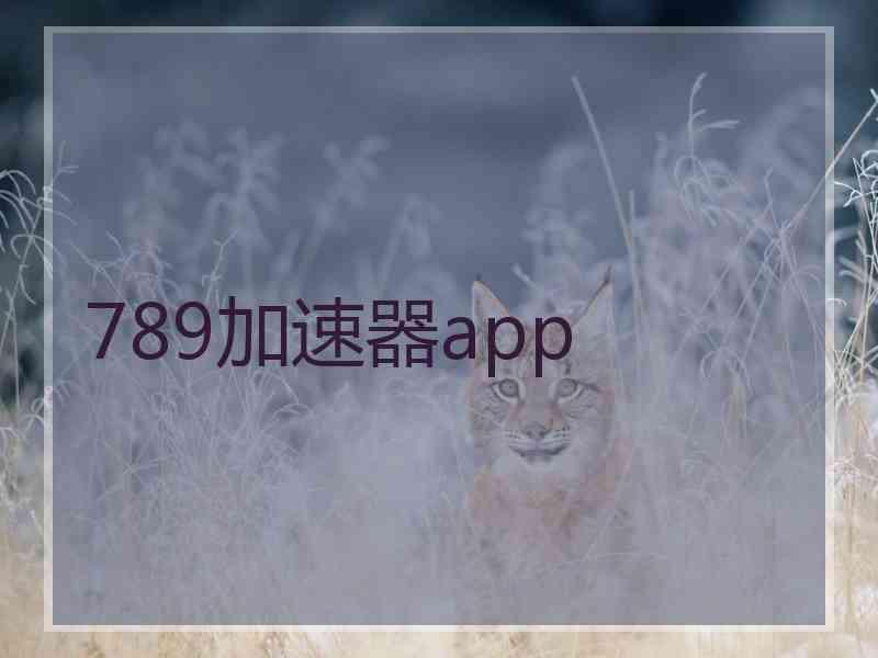 789加速器app