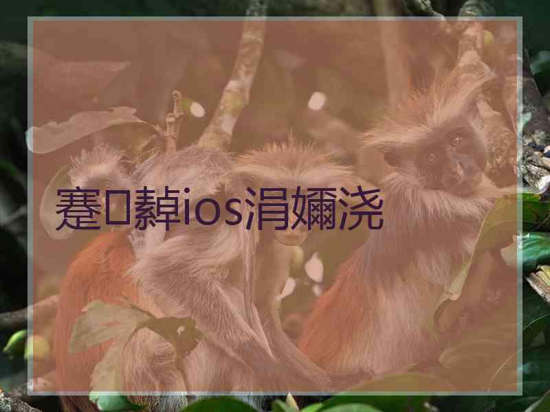 蹇繛ios涓嬭浇