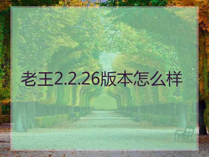 老王2.2.26版本怎么样