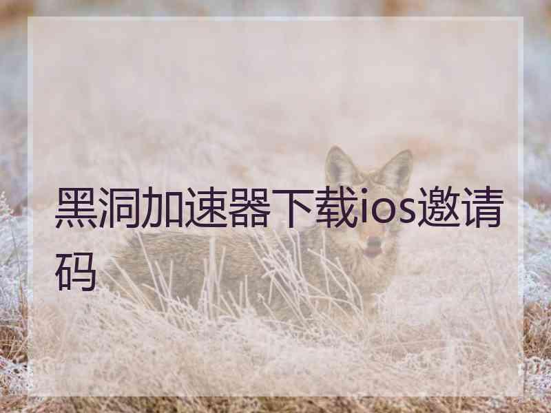 黑洞加速器下载ios邀请码