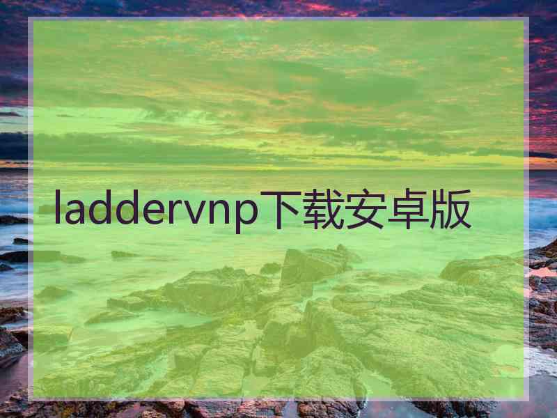laddervnp下载安卓版