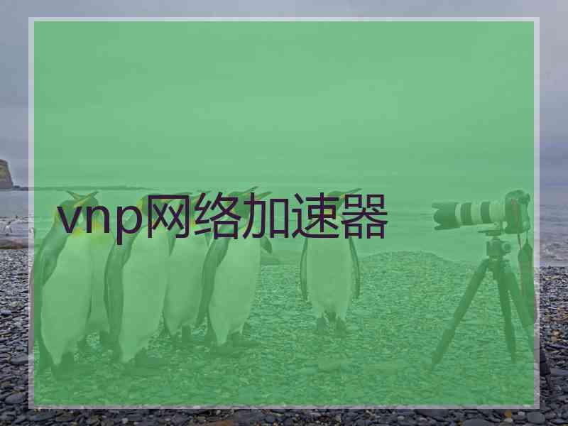 vnp网络加速器