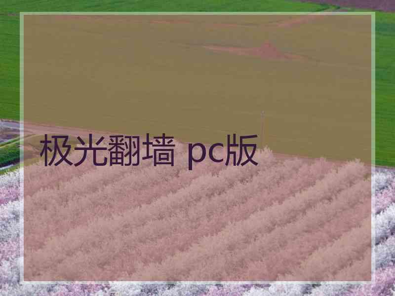 极光翻墙 pc版