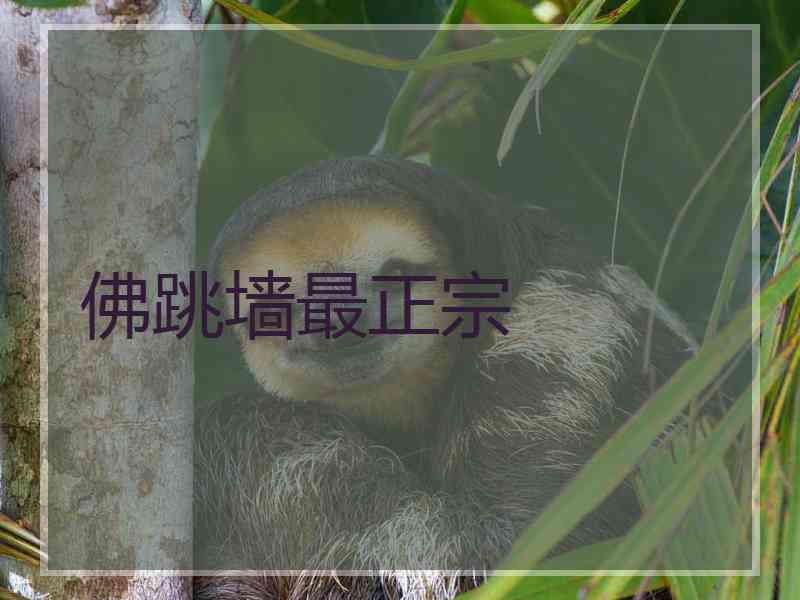 佛跳墙最正宗