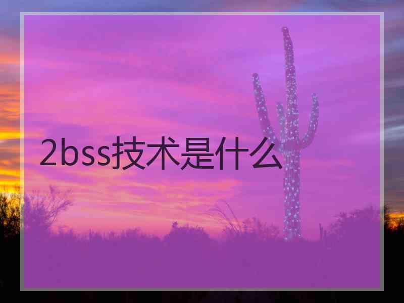 2bss技术是什么