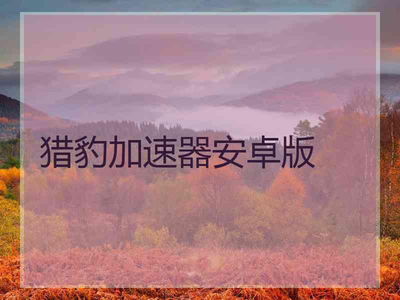 猎豹加速器安卓版
