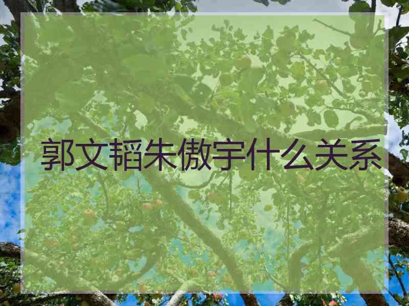 郭文韬朱傲宇什么关系
