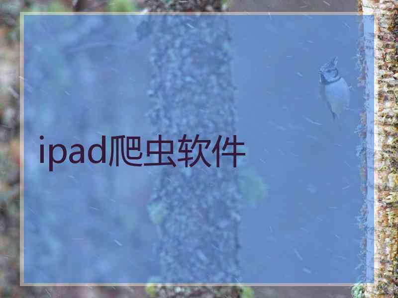 ipad爬虫软件