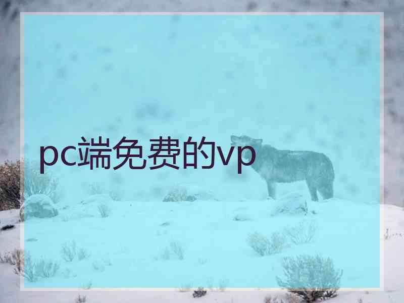 pc端免费的vp