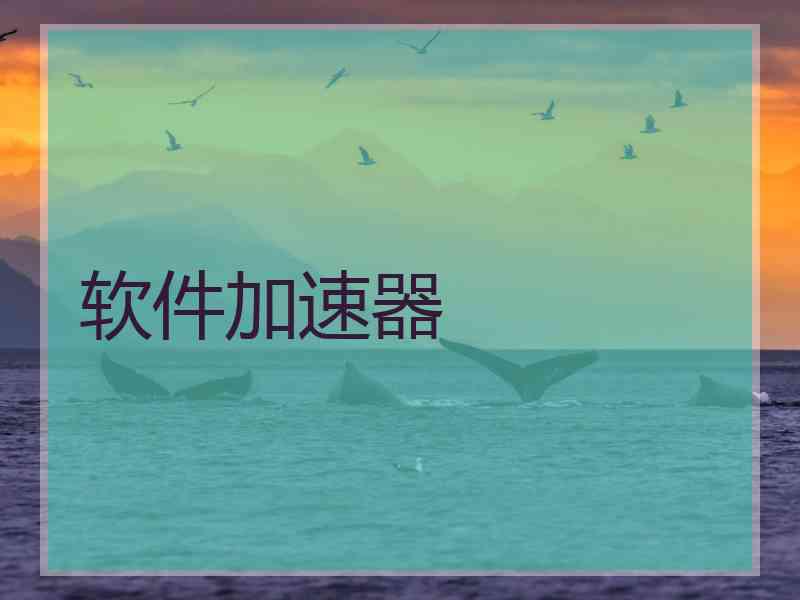 软件加速器