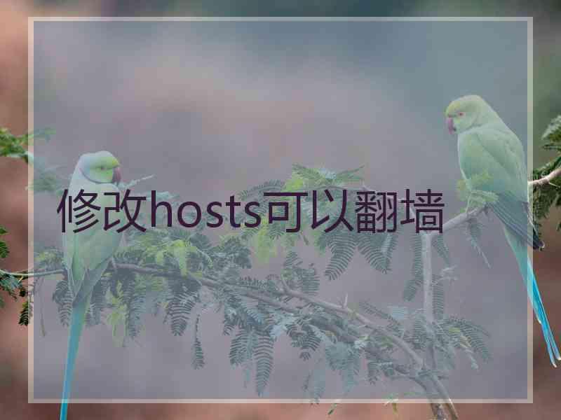 修改hosts可以翻墙