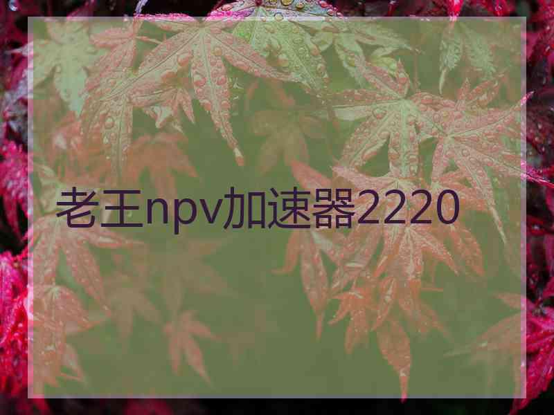 老王npv加速器2220