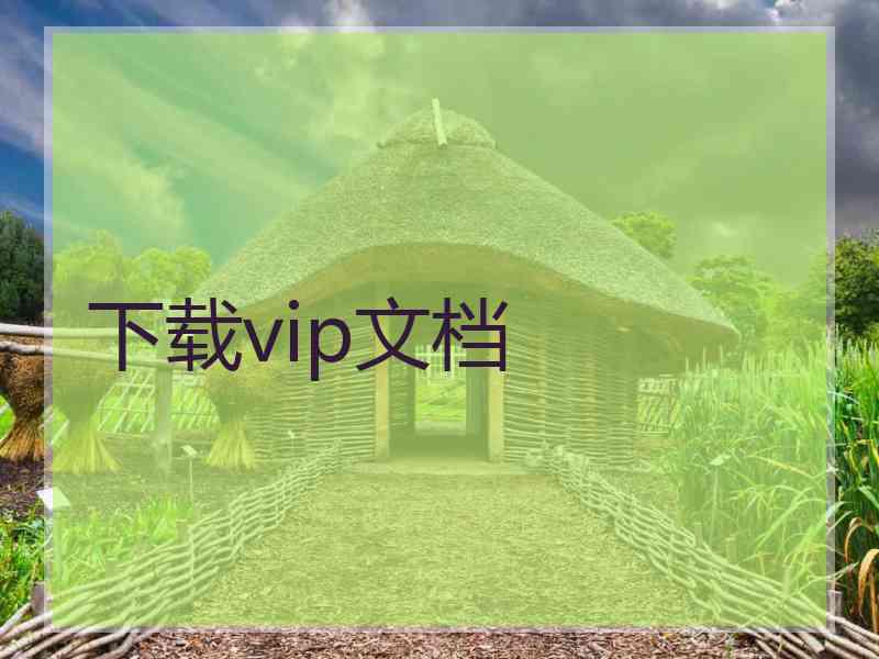 下载vip文档
