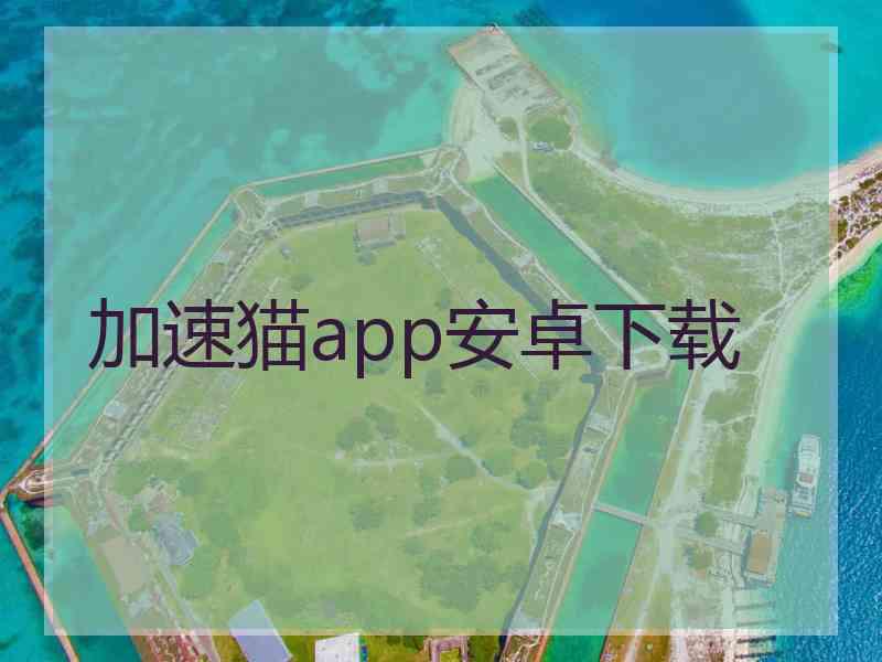 加速猫app安卓下载