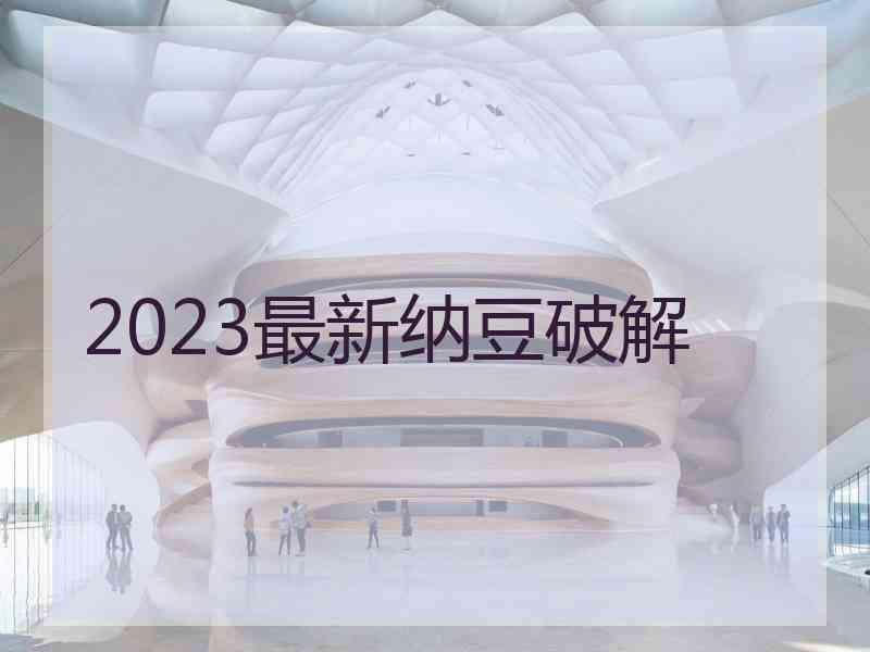 2023最新纳豆破解