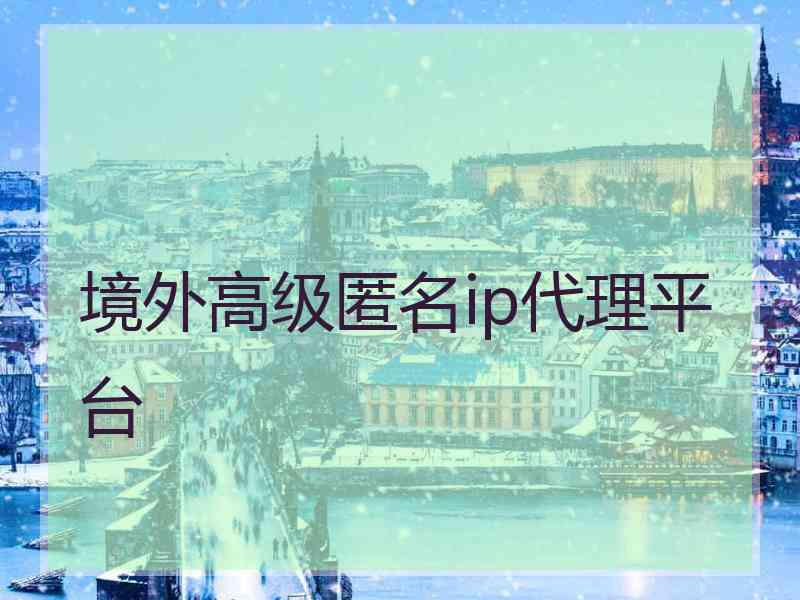 境外高级匿名ip代理平台