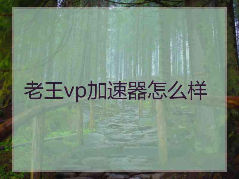 老王vp加速器怎么样