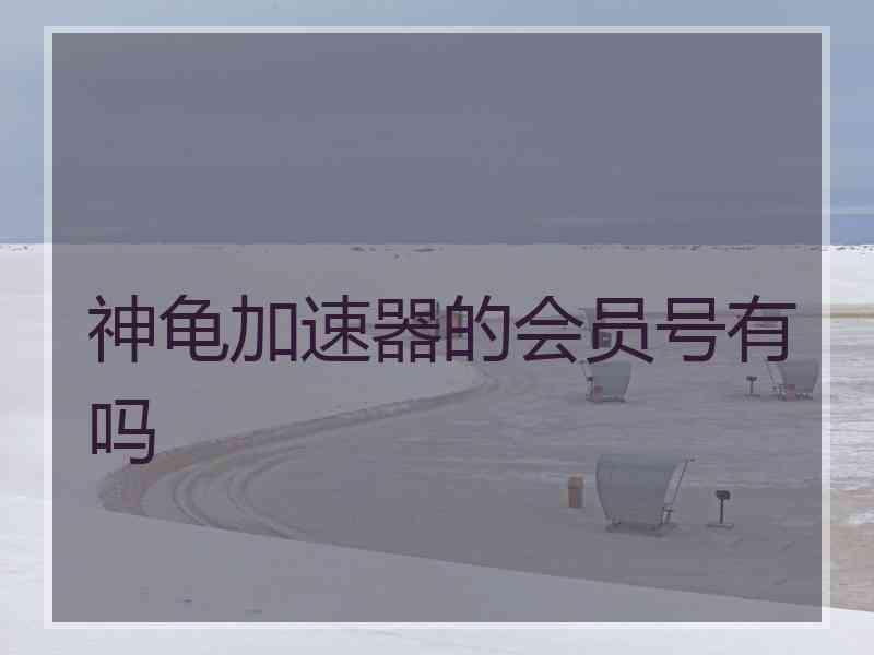 神龟加速器的会员号有吗