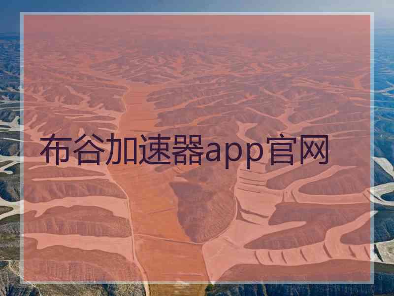 布谷加速器app官网