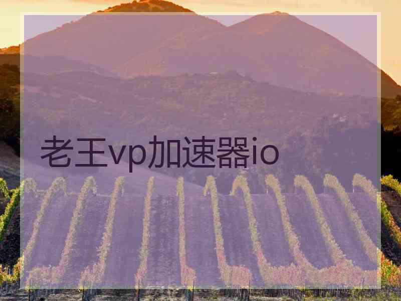 老王vp加速器io