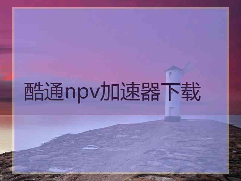 酷通npv加速器下载