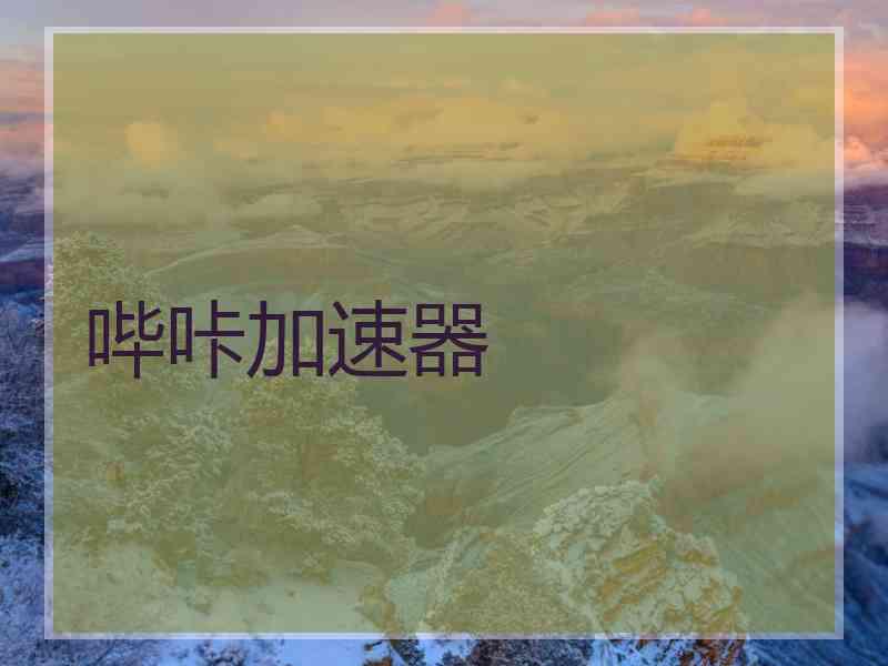 哔咔加速器