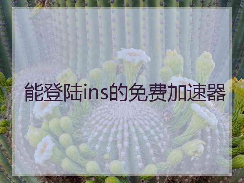 能登陆ins的免费加速器