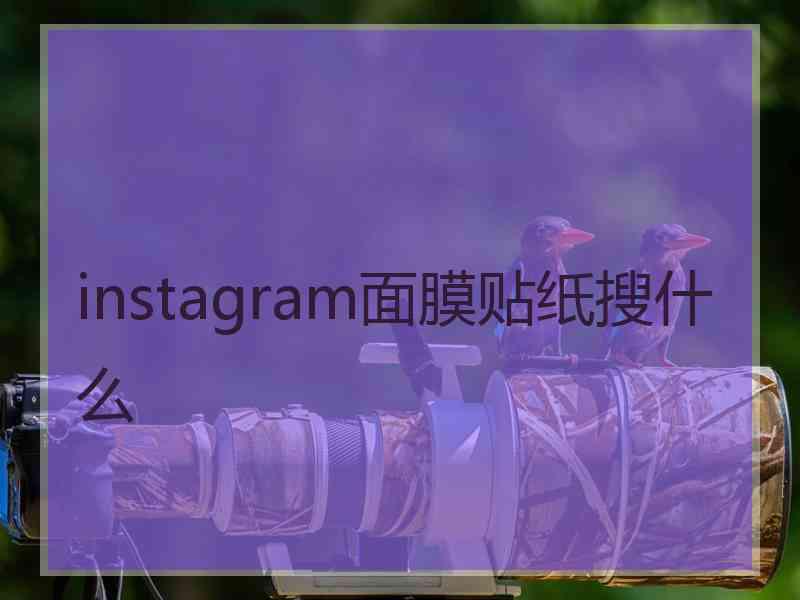 instagram面膜贴纸搜什么