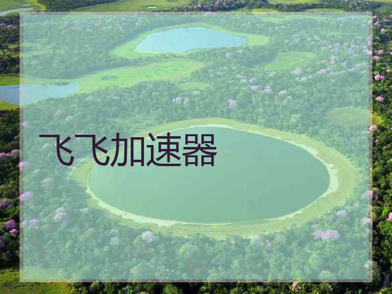 飞飞加速器